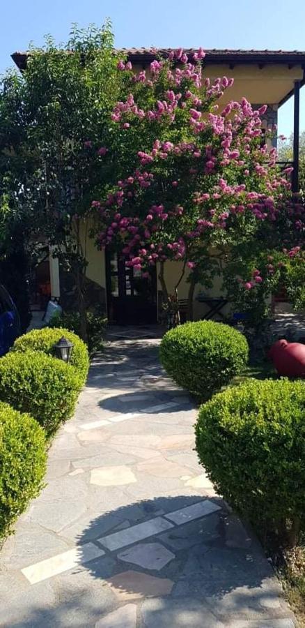 Hotel Maria Chrysi Ammoudia Exteriér fotografie