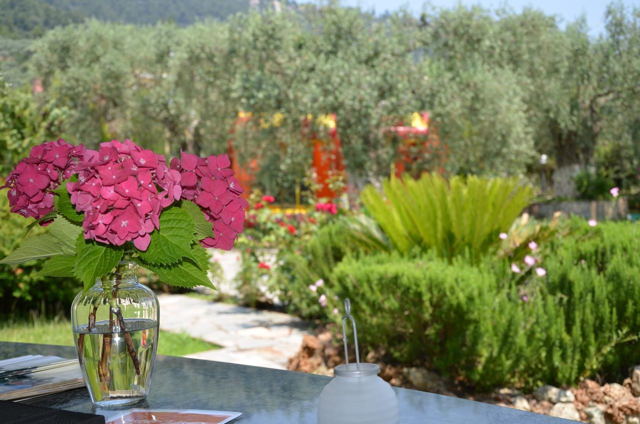 Hotel Maria Chrysi Ammoudia Exteriér fotografie